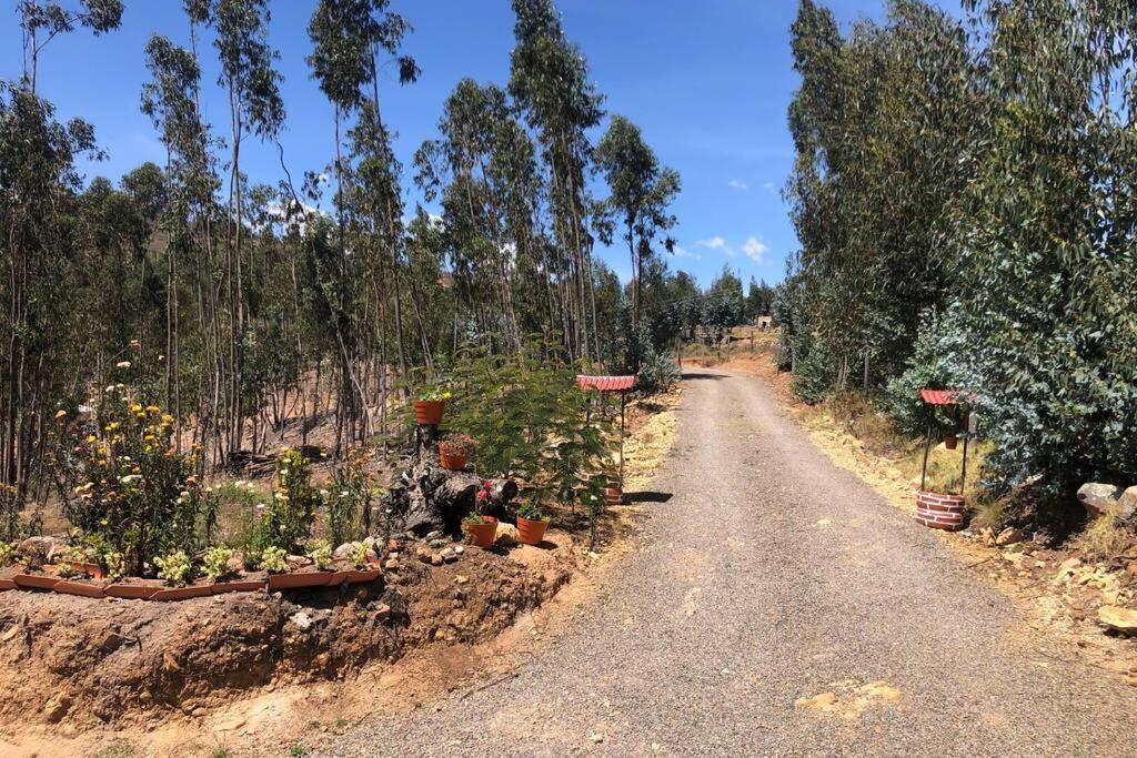 Cabana Buenavista Es Un Lugar Para Descansar. Iza Exterior foto